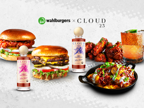 Website Homepage Hero Slider Wahlx Cloud23 1